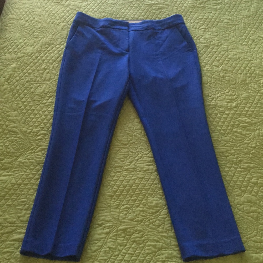Electric blue LOFT pants